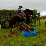 Mark Fitzpatrick - @markfitzpatrick123 - Instagram