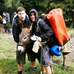 Mark FitzPatrick - @markgfitzpatrick - Instagram