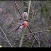 Mark Fitzpatrick - @mark.fitzpatrick91 - TikTok