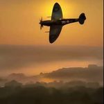 Mark Anthony Flack - @mark.flack.372 - Instagram