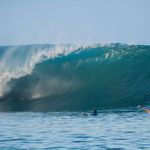 Mark Flack - @mark.flack.167 - Instagram