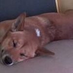 Mark Flack - @flackmark - Instagram