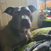 Mark Flaherty - @mark.flaherty31 - TikTok
