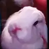 Markus - @markus.fleischer78g573 - TikTok