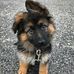 Mark Fleishman - Facebook