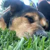 Mark Fleming - @mark.fleming40 - TikTok