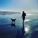 Marcus Flintoff - @marcusflintoff - Instagram