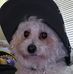 Mark Florio Jr. - Facebook