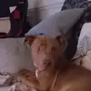 mark Foley - @john.hearty1 - TikTok
