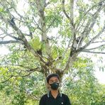 Mark Novem Fuentes - Facebook