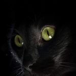 Marcus Forcier - @marcus_737 - Instagram