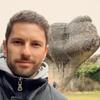 markforestier - @markforestier - TikTok