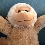 Mark Forer - @mark_forer - Instagram
