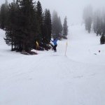 Mark Foreman - @mark_foreman - Instagram