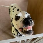 Mark Forkner - @forky1967 - Instagram