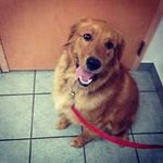 Mark Fortner - @fortnermark - Instagram