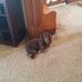 Mark Fortner - Facebook