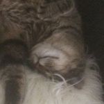 Mark Fortner - @fortner.mark - Instagram