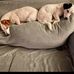 Mark Frank - Facebook