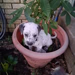 Mark Freeman - @mark.freeman.12720 - Instagram