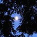 test - Facebook