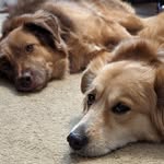 Mark Frieden - @zmagnum08 - Instagram