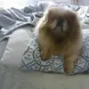 MARK FRIEDMAN - @mark.friedman01 - TikTok