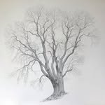 Mark Frith - @markfrithartworks - Instagram