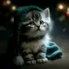 Mark Fuentes - @mark.fuentes29 - TikTok