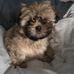 Mark Fussell - Facebook