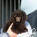 Mark Fyfe - Facebook