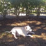 Mark Gabbard - @gabbard659 - Instagram