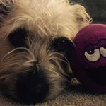 Mark Gabelman - @gabelmanmark - Instagram