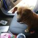 Mark Gaines - Facebook