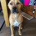 Mark Gaines - Facebook