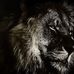 Mark Gaines - Facebook