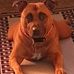 Mark Gaines - Facebook