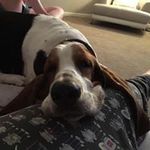 Mark Gallagher - @mark.gallaghers - Instagram