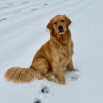 Mark Gallagher - @markgallagher66 - Instagram