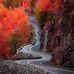Mark Galli - Facebook