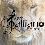 Mark Galliano - @markgallianophotography - Instagram