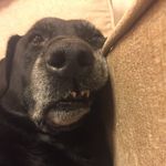 Mark Gambrell - @_markgambrell_ - Instagram