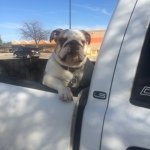 Mark Gambrell - @markgambrell_35 - Instagram