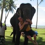 Mark Gammon - @markggammon - Instagram