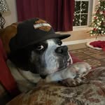Mark Gautreaux Jr. - @markgautreauxjr - Instagram