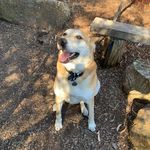 Mark Gebert - @marklyndon60 - Instagram