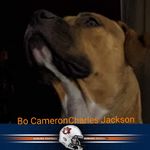 Mark M Geeslin - @markgeeslin558 - Instagram