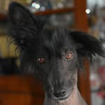 Mark Geeves - @geeves.mark - Instagram