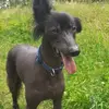 Mark Geeves - @markgeeves0 - TikTok