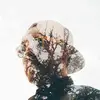 Mark Gehring - @markgehring - TikTok